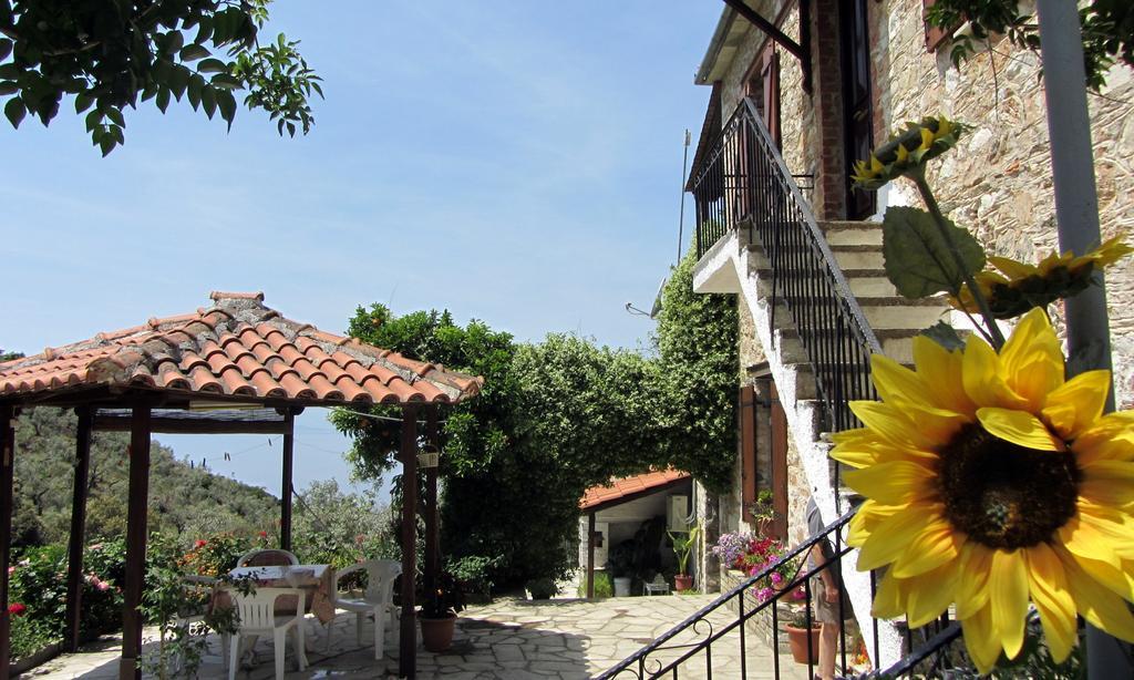 Tsorni Hill Cottage ليفوكاسترو المظهر الخارجي الصورة