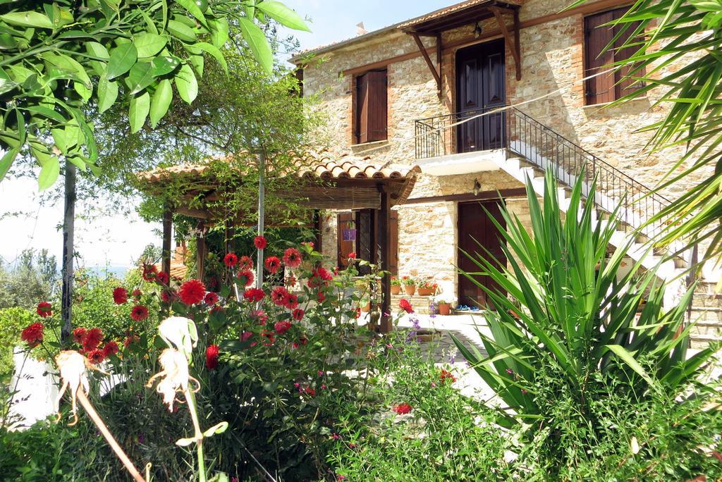 Tsorni Hill Cottage ليفوكاسترو المظهر الخارجي الصورة